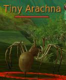 Tiny Arachna